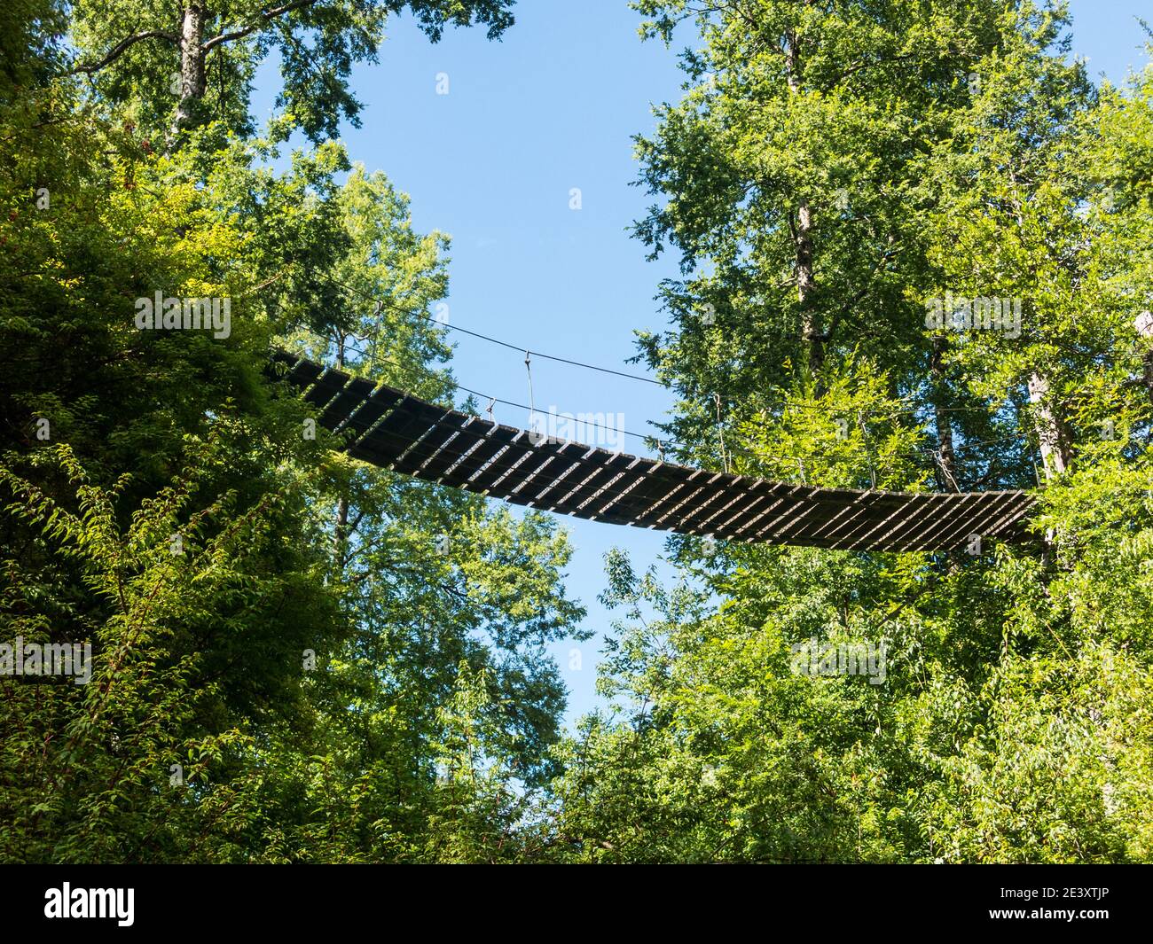 Wooden suspension bridge walkway in Huilo Huilo Biological Reserve, Los Ríos Region, southern Chile. Stock Photo