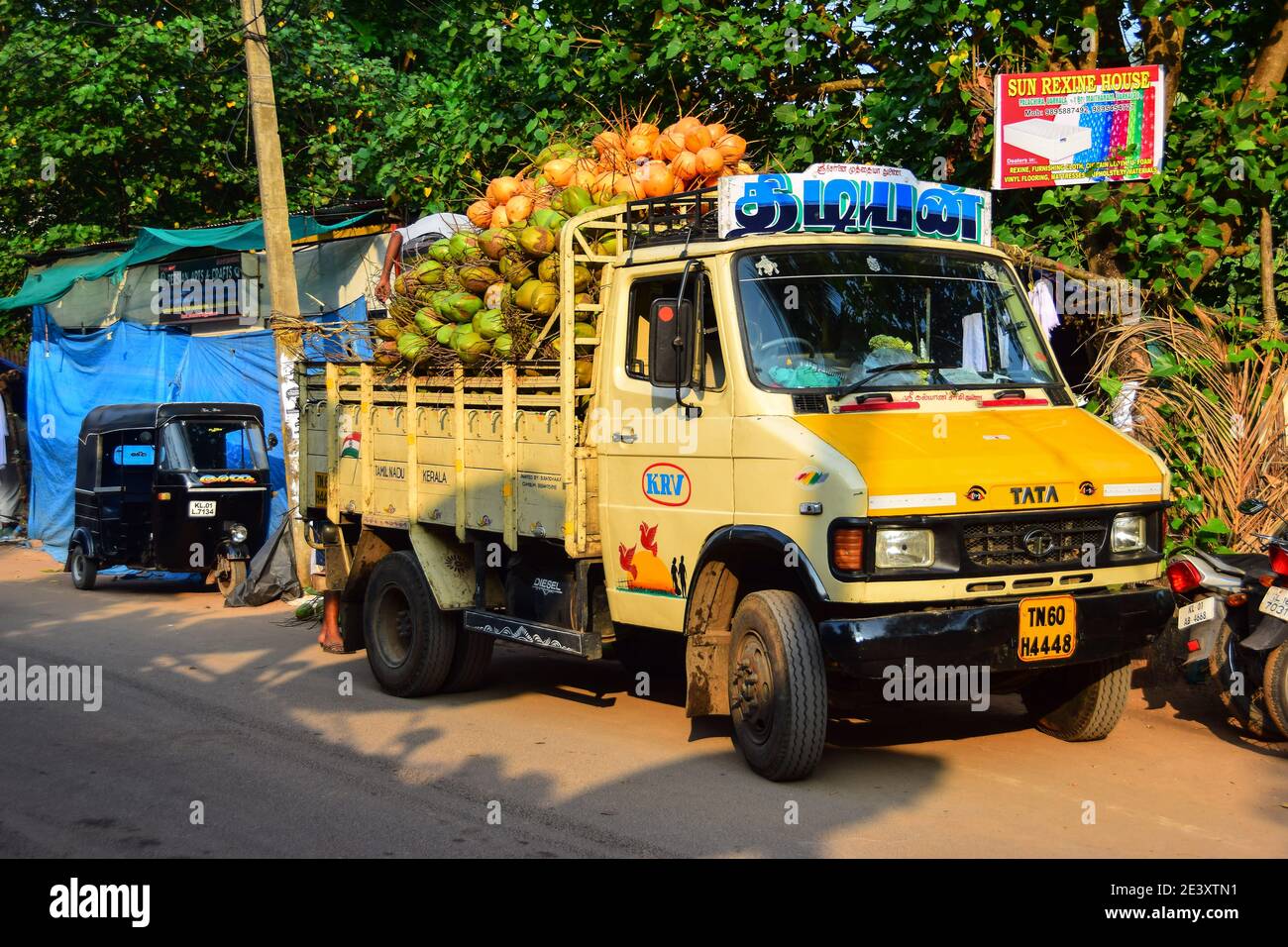 Tata Lorry full of coconuts, Varkala, Kerala, India Stock Photo