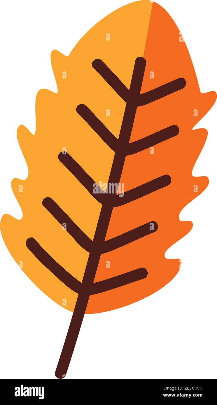 Plant leaf line and fill style symbol design of natural floral theme ...