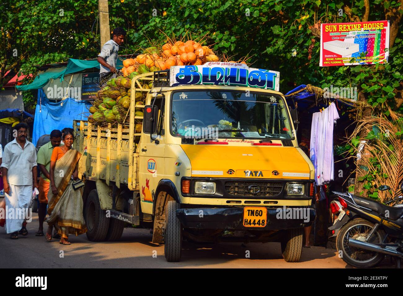 Tata Lorry full of coconuts, Varkala, Kerala, India Stock Photo