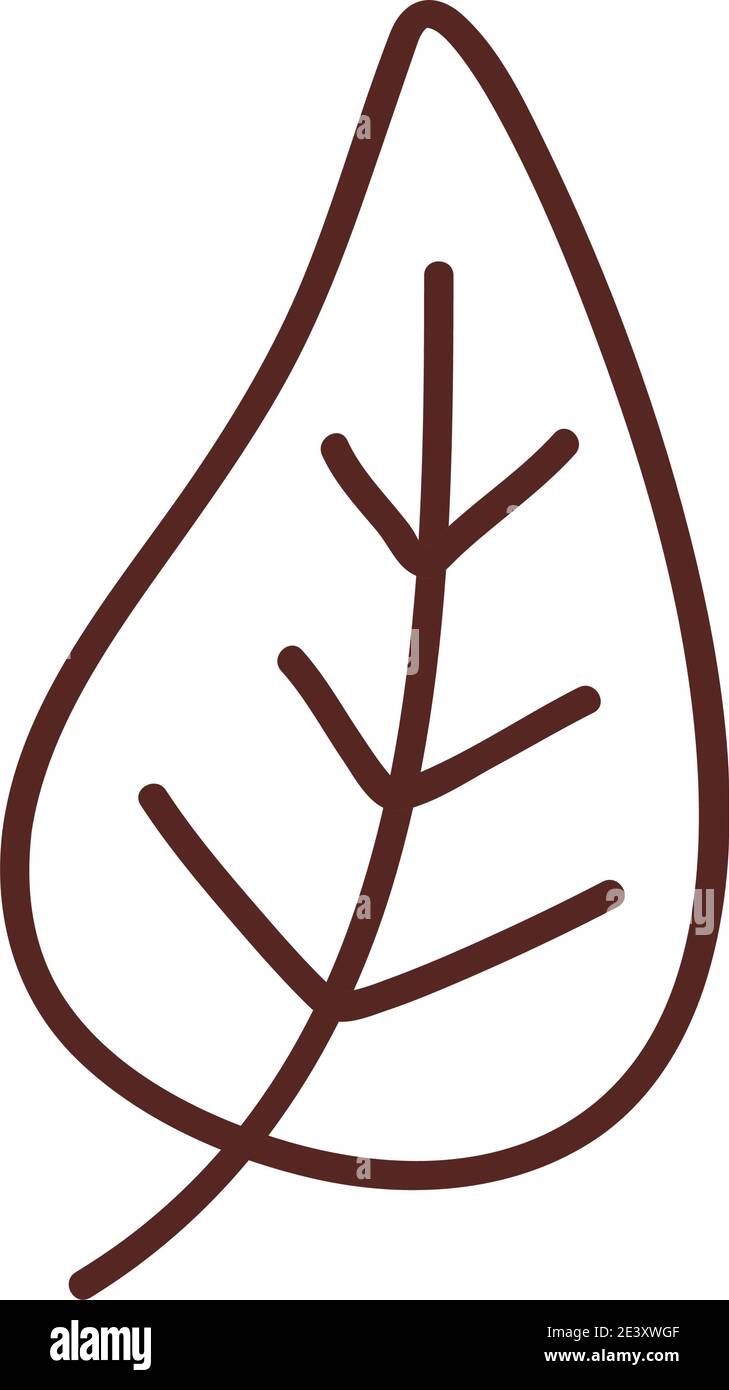 diamond leaf line style icon design of Plant natural floral theme ...