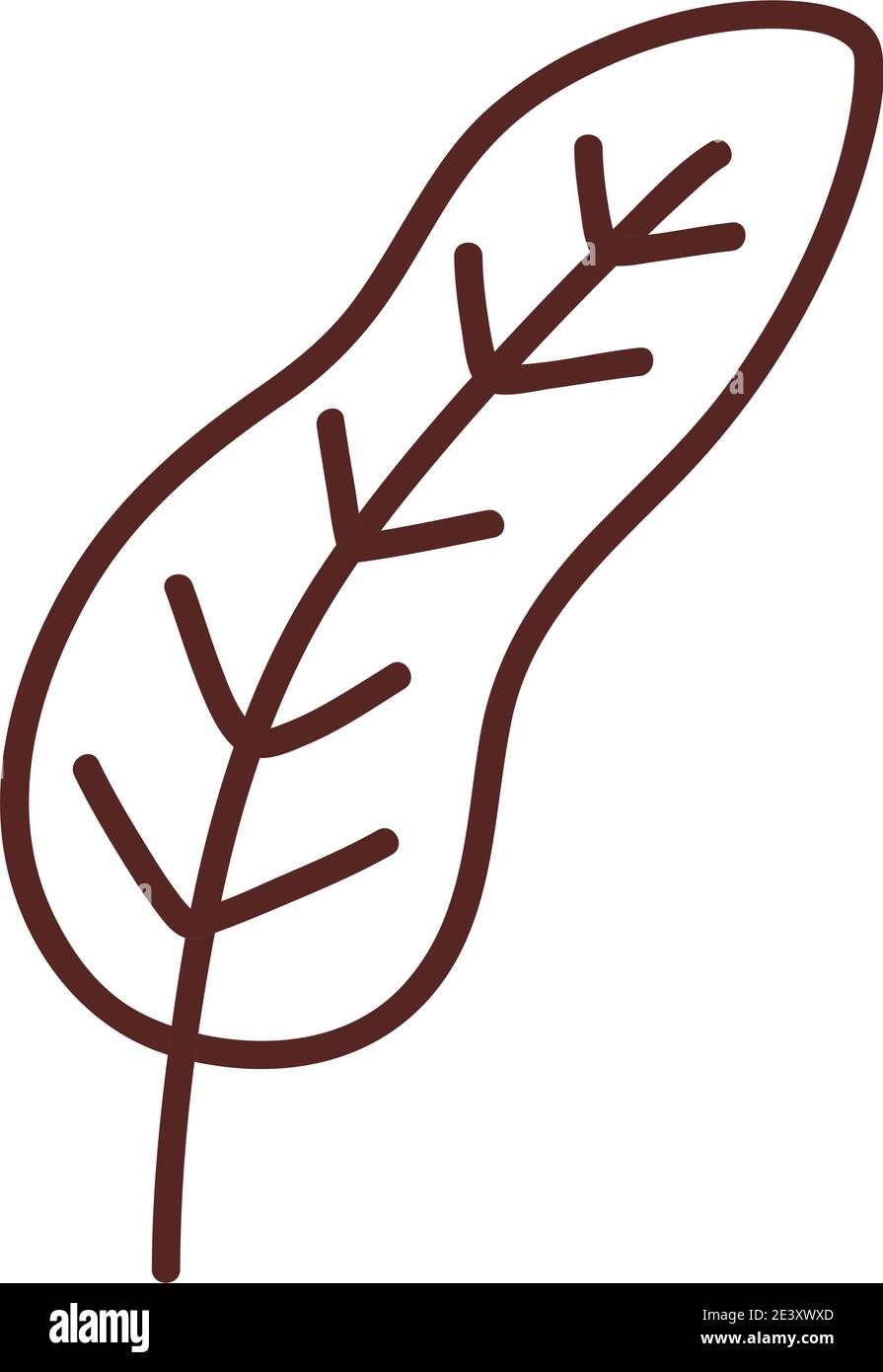 Natural leaf line style symbol design of Plant floral theme Vector ...