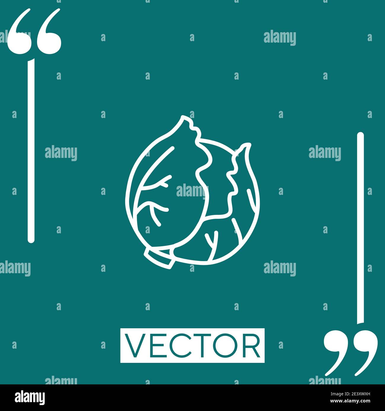 cabbage vector icon Linear icon. Editable stroke line Stock Vector