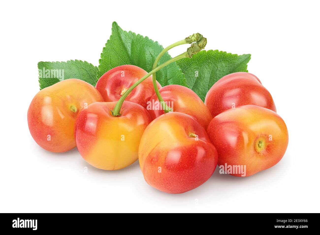 yellow-red sweet cherry isolated on white background with clipping path ...