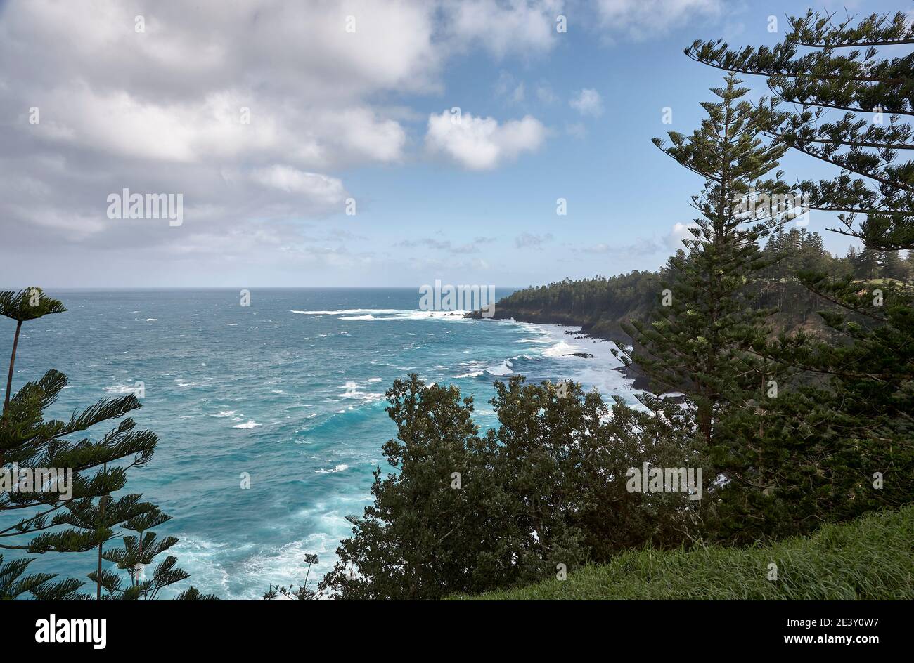 View of Cresswell Bay and its coastline with Norfolk Pine hugging the cliff edge an on a sunny day with broken cloud, Norfolk Island, Australia Stock Photo