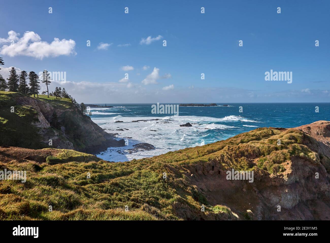 View from Slaughters Bay out to the Pacific Ocean on a bright and sunny winters day with Norfolk Pine trees on the cliff edges, Norfolk Island Stock Photo