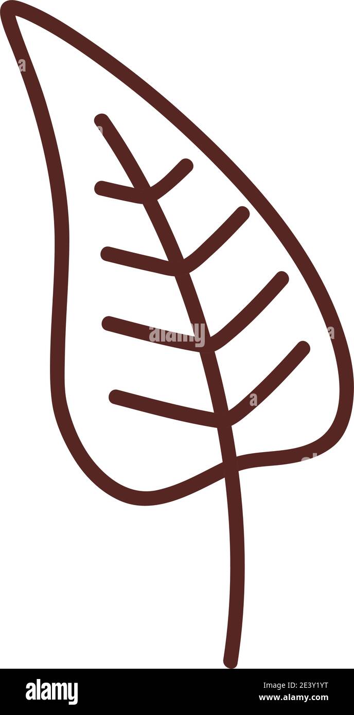 Natural leaf line style icon design of Plant floral theme Vector ...
