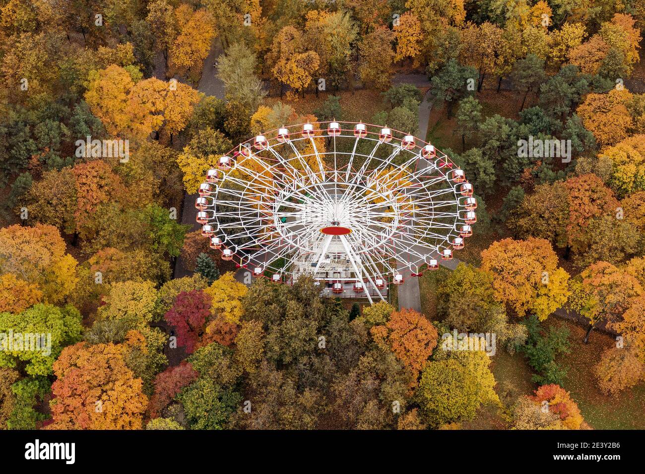 Forest Aerial Rides Aerial drone view giant forest hi-res stock photography and images - Alamy