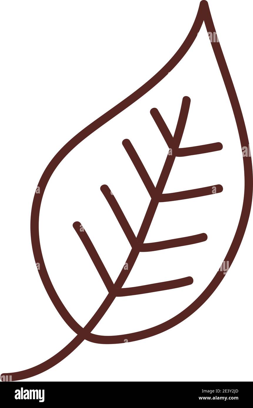 leaf line style icon design of Plant natural floral theme Vector ...
