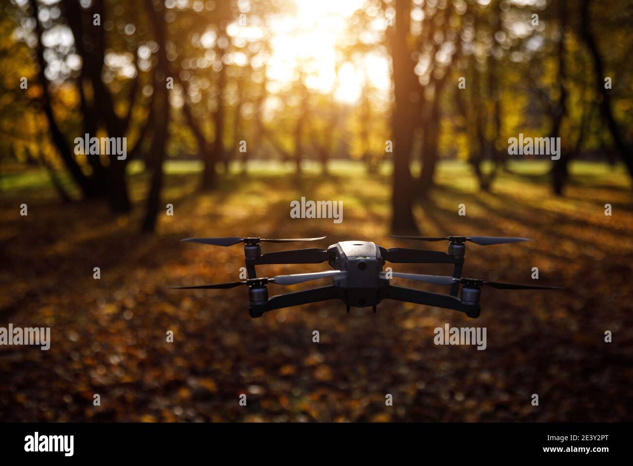 Flying drone in misty forest hi-res stock photography and images - Alamy