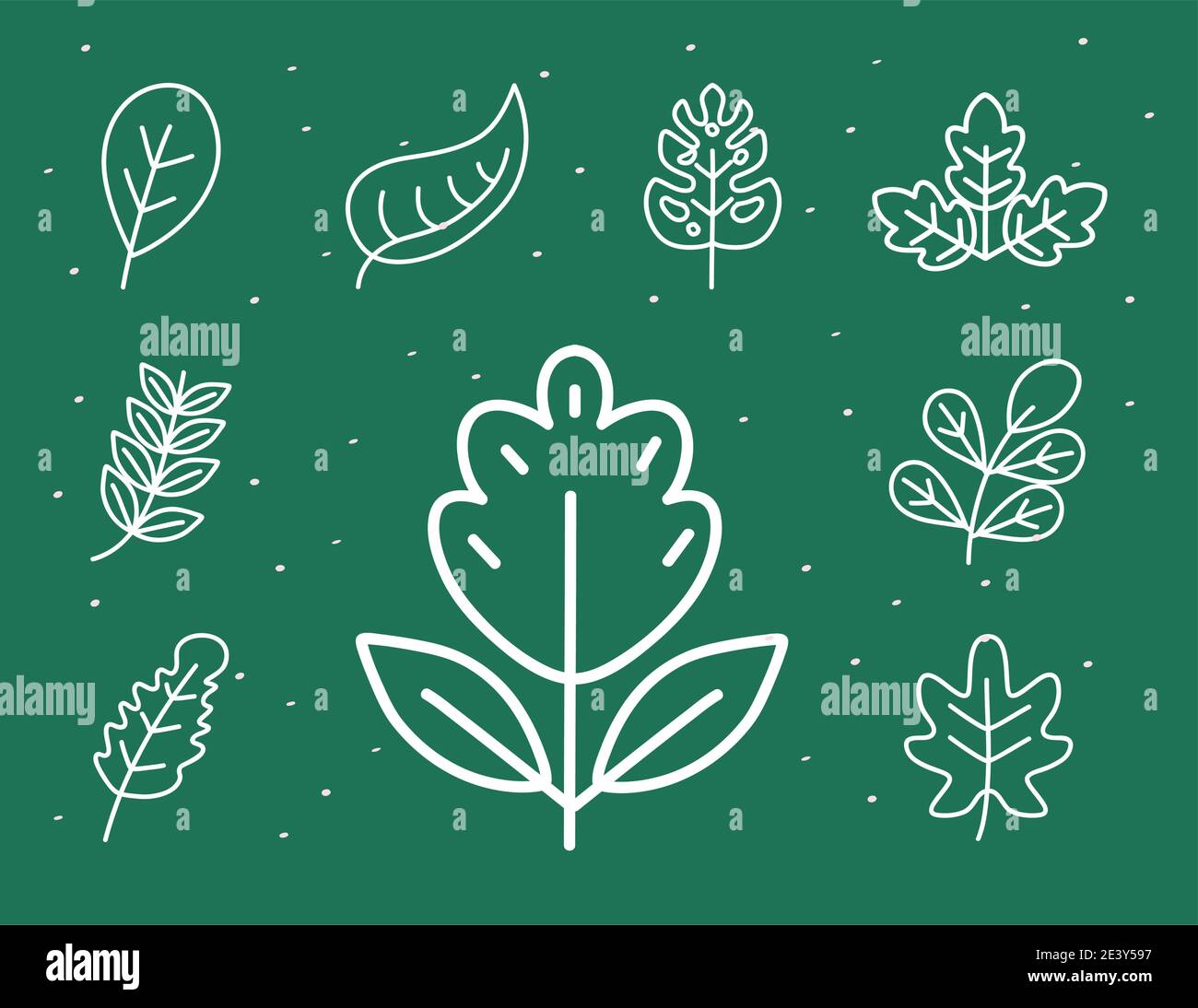 leaves line style symbol set design of Plant natural floral and theme ...