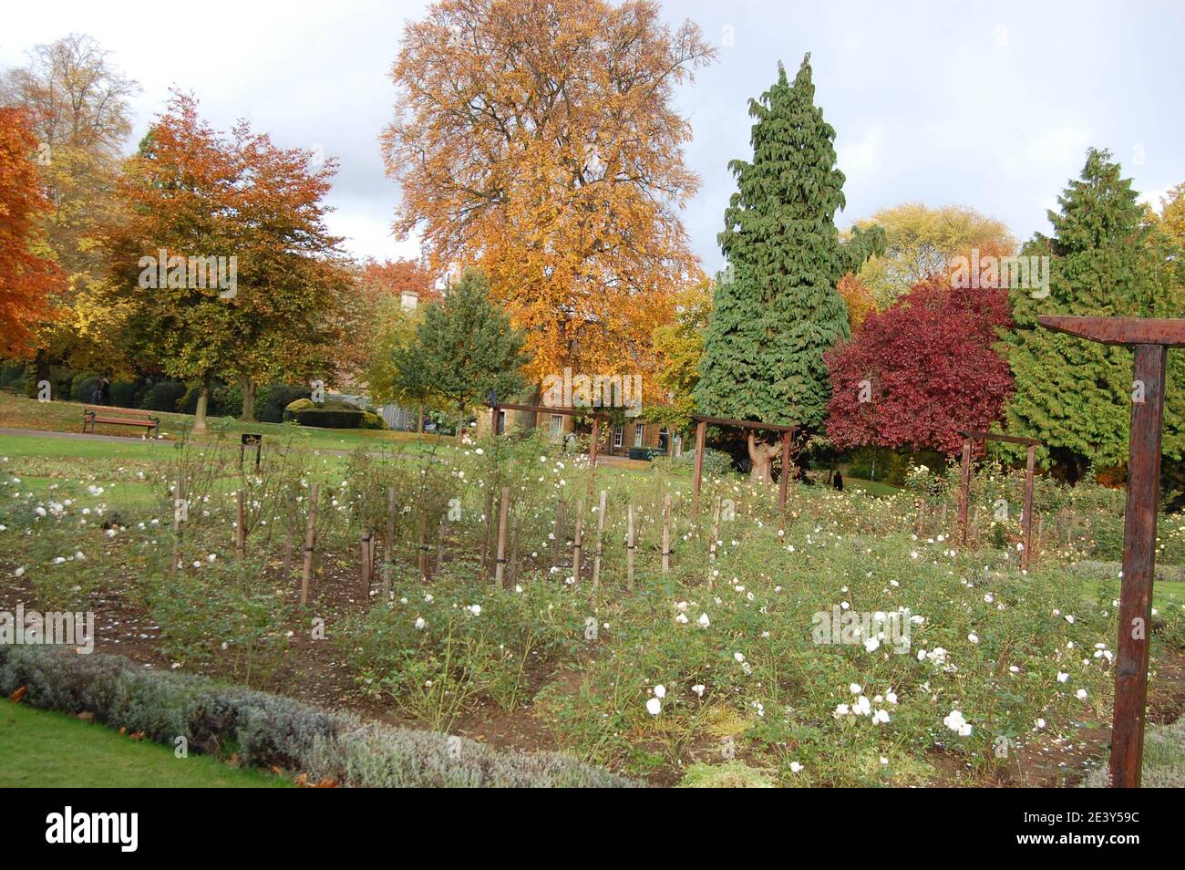 Anglo saxons plants hires stock photography and images Alamy