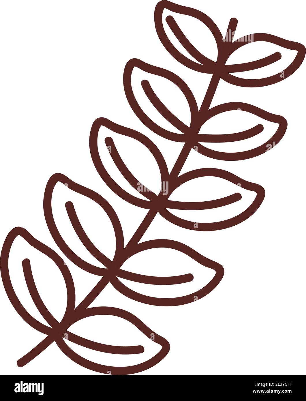 Plant leaf line style icon design of natural floral theme Vector ...