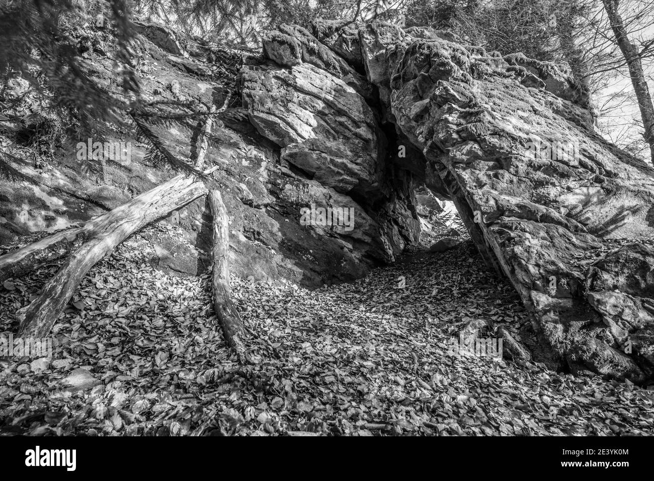 Black and White image Old weathered granite rock formation with cave and breakthrough in the forest on the Rusel and Ruselabsatz near Geisslinger Stei Stock Photo