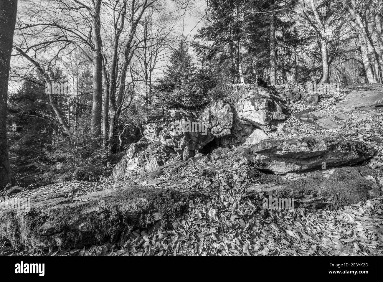 Black and White image Old weathered granite rock formation with cave and breakthrough in the forest on the Rusel and Ruselabsatz near Geisslinger Stei Stock Photo