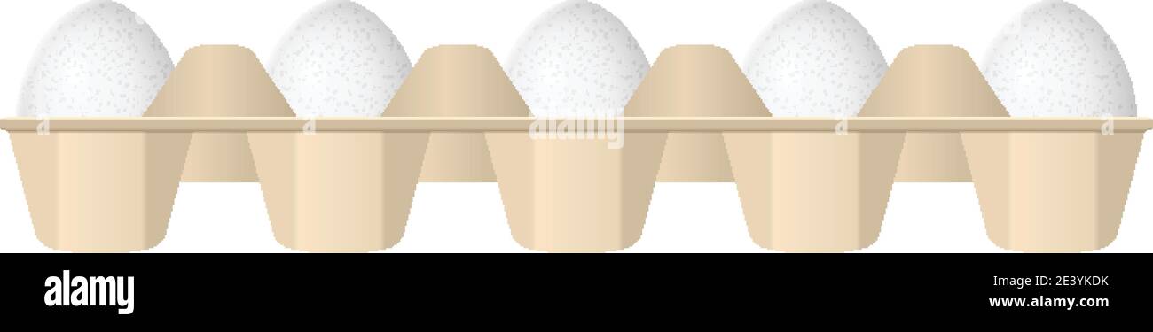 Eggs in carton box on a white background. Stock Vector