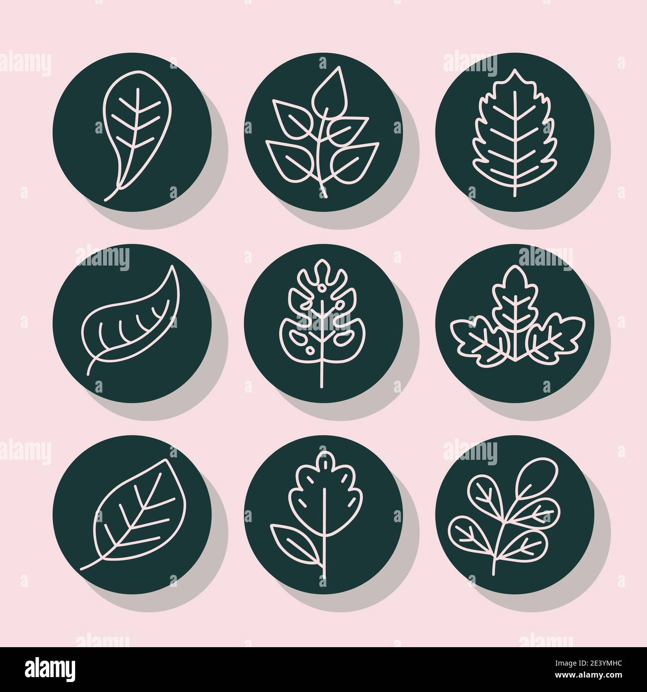 leaves line style icon set design of Plant natural floral and theme ...