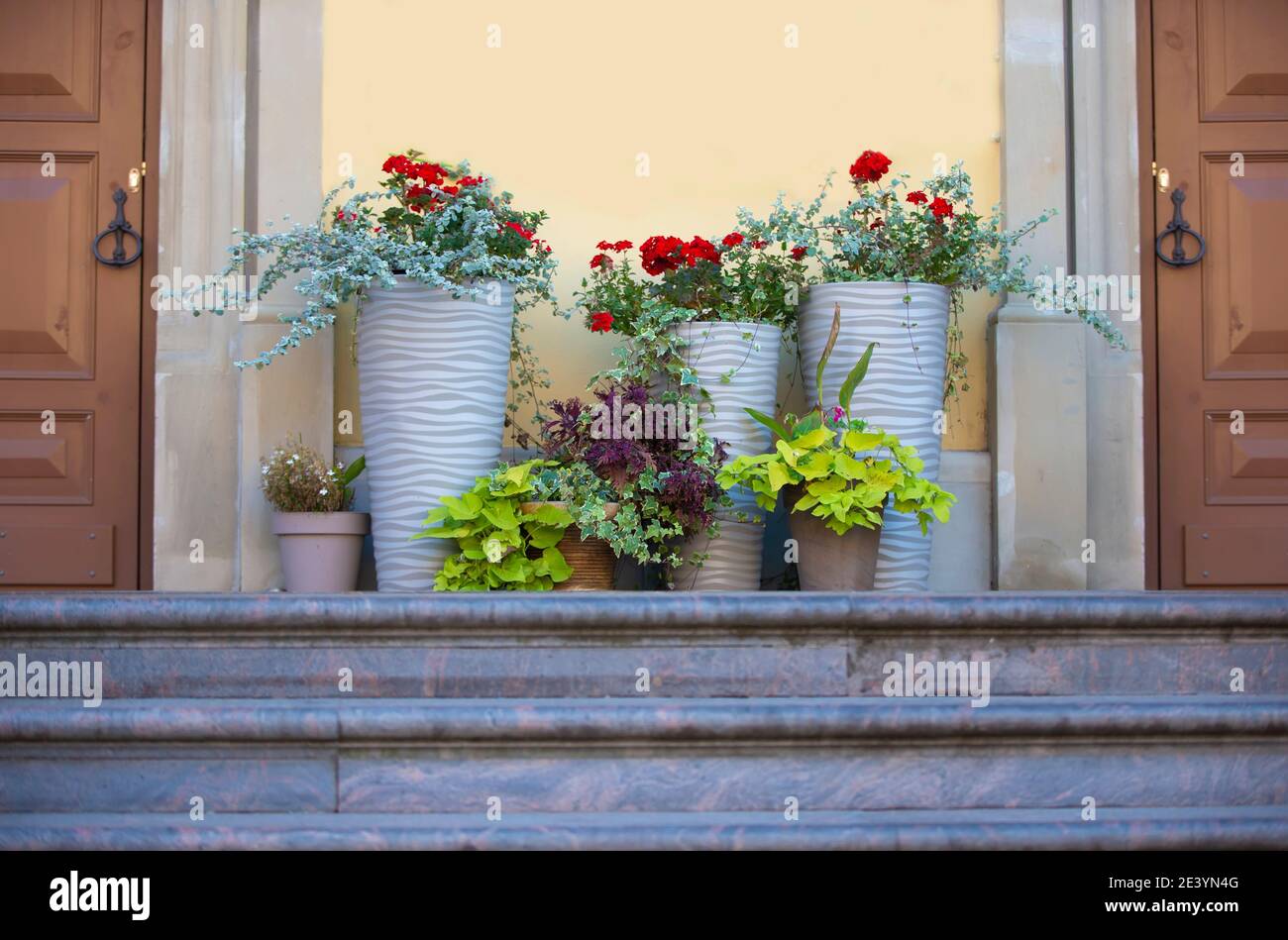 Doors, steps and flower pots. Background city wall Stock Photo - Alamy