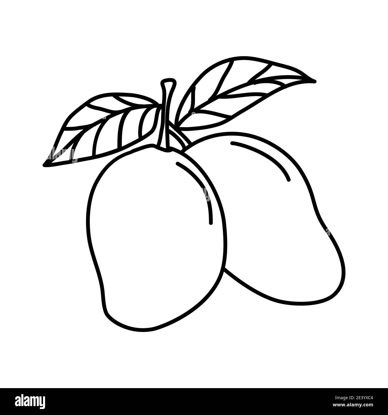 Mango Fruit Icon. Vector Design Illustration Sign Logo Stock Vector Image &  Art - Alamy