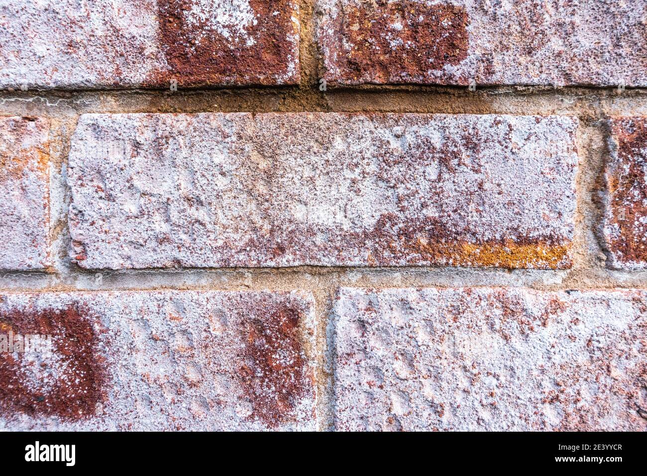 Efflorescence crystalline salt deposits on porous brick wall Stock