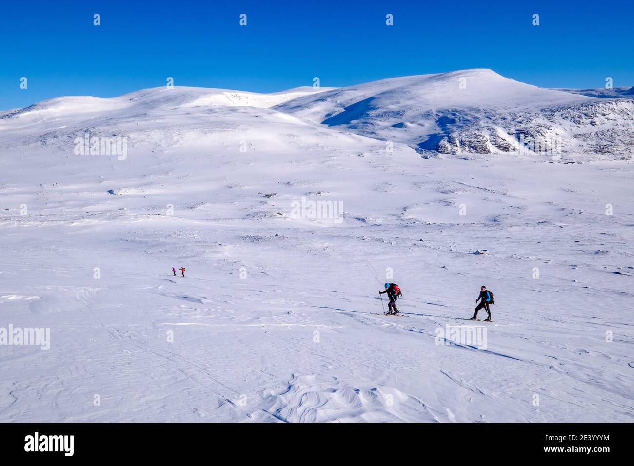 ski mountaineering on Snohetta in Dovre, one of Norway's highest mountains Stock Photo