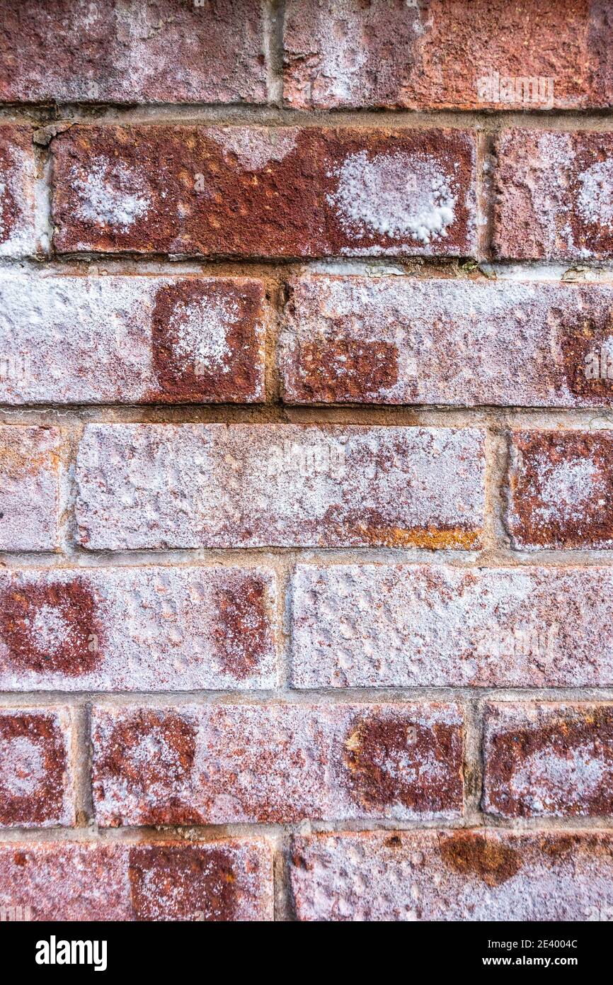 Efflorescence crystalline salt deposits on porous brick wall Stock