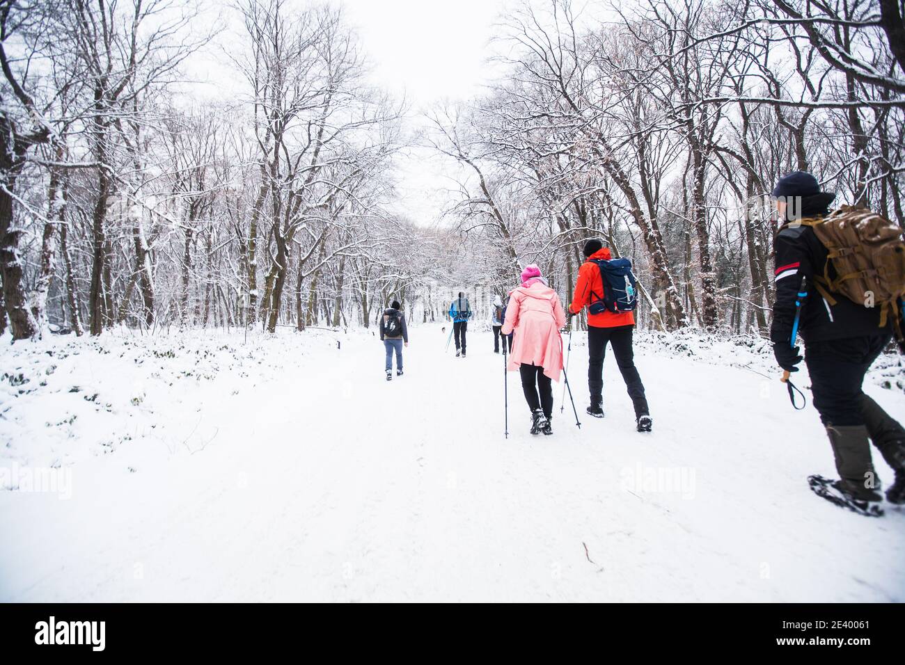 Hikers with backpack hiking on snowy trail. Group of people walking ...
