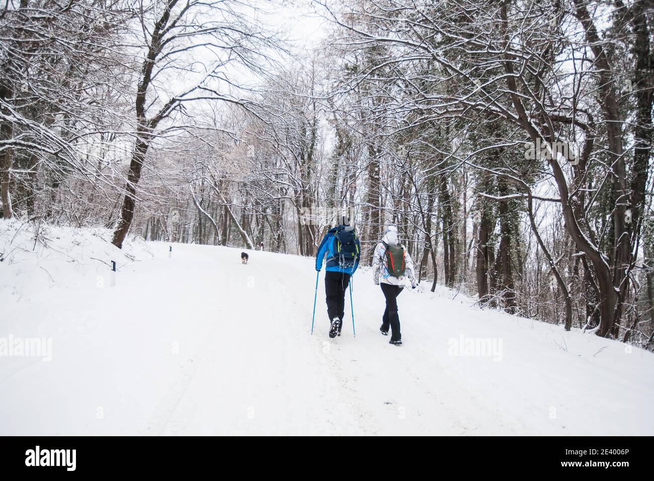 Team hikers trekking snowy hi-res stock photography and images - Alamy