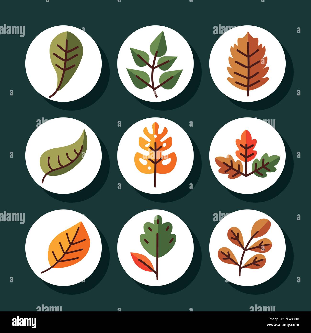 leaves line and fill style icon set design of Plant natural floral and ...