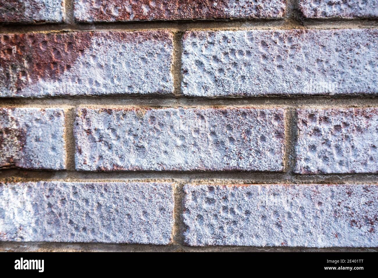 Efflorescence brick wall hires stock photography and images Alamy