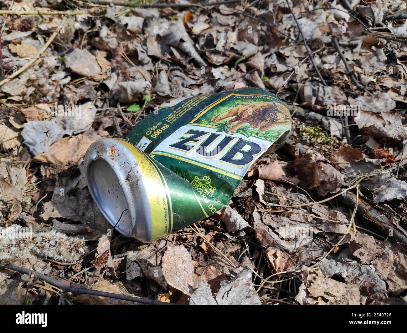 KATOWICE, POLAND - APRIL 4, 2020: Harnas beer metal can dumped illegally in a forest near Katowice, Silesia region, Poland. Stock Photo