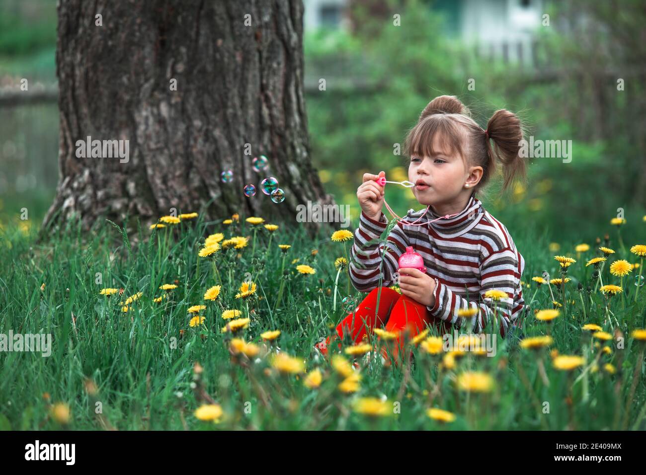Little girl blowing soap bubbles in the green summer park Stock Photo ...