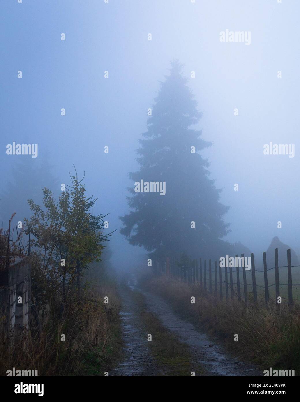 Dark foggy country road hi-res stock photography and images - Alamy