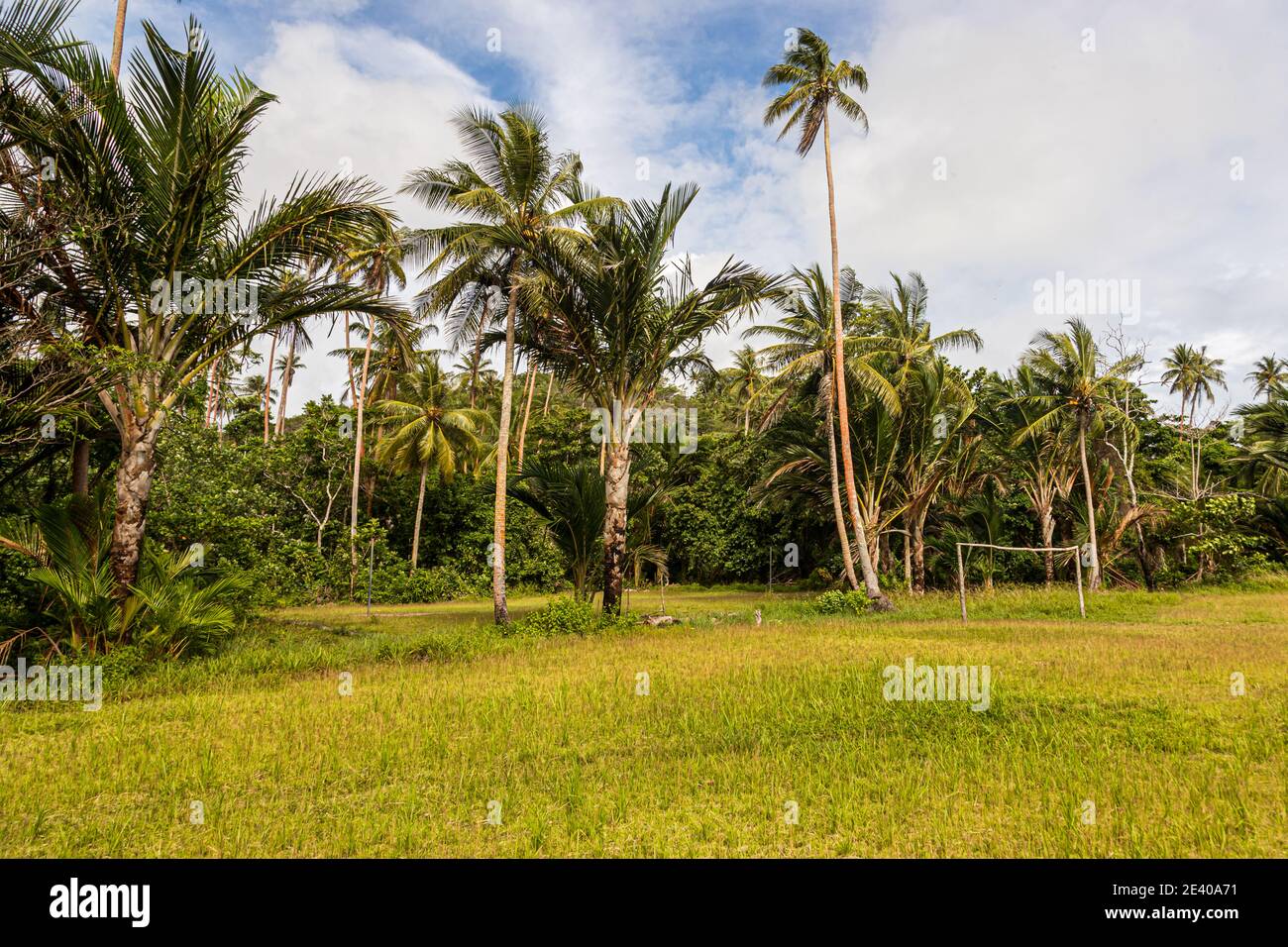 Soccer field under palm trees on the Deboyne Islands, Papua New Guinea Stock Photo
