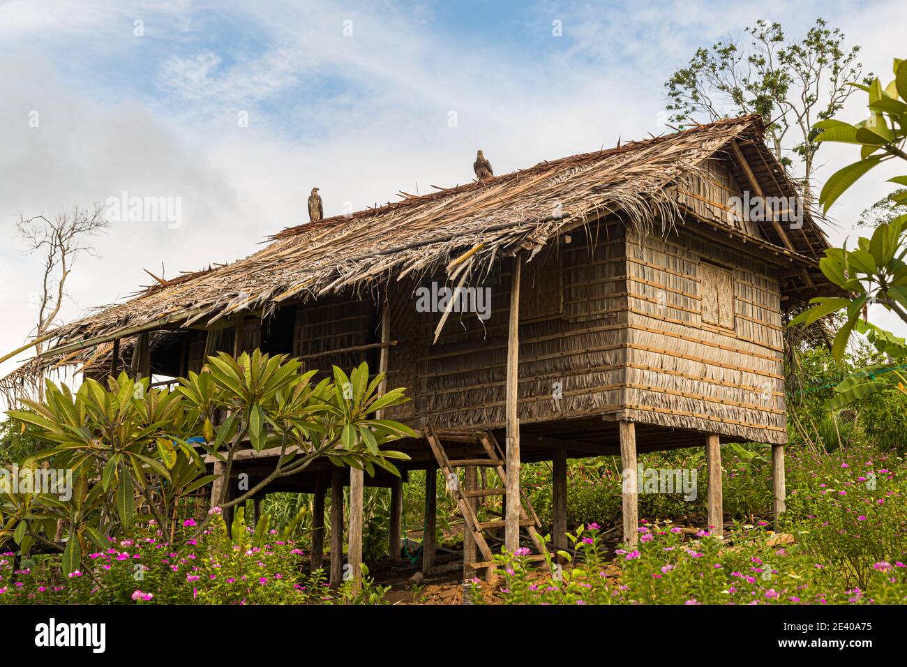 Typical stilt house on the Deboyne Islands, Papua New Guinea Stock ...