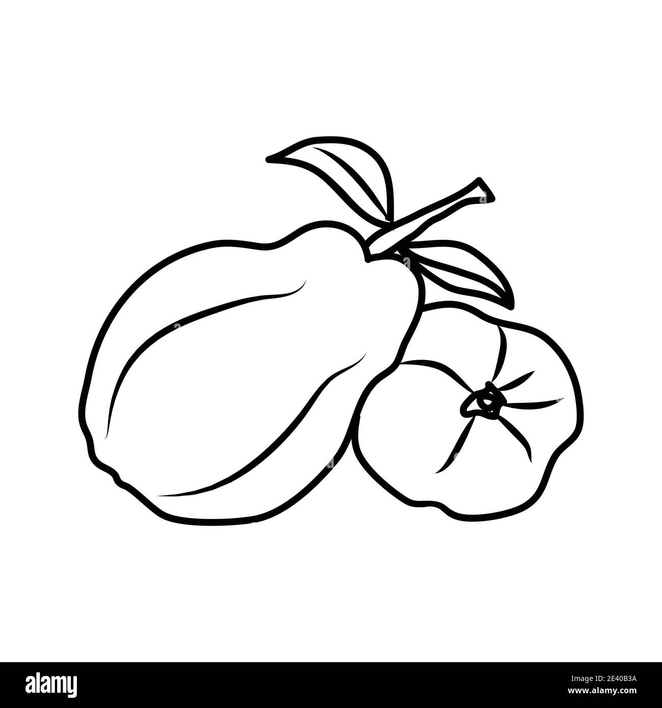 Quince Fruit Icon. Vector Design Illustration Sign Logo Stock Vector