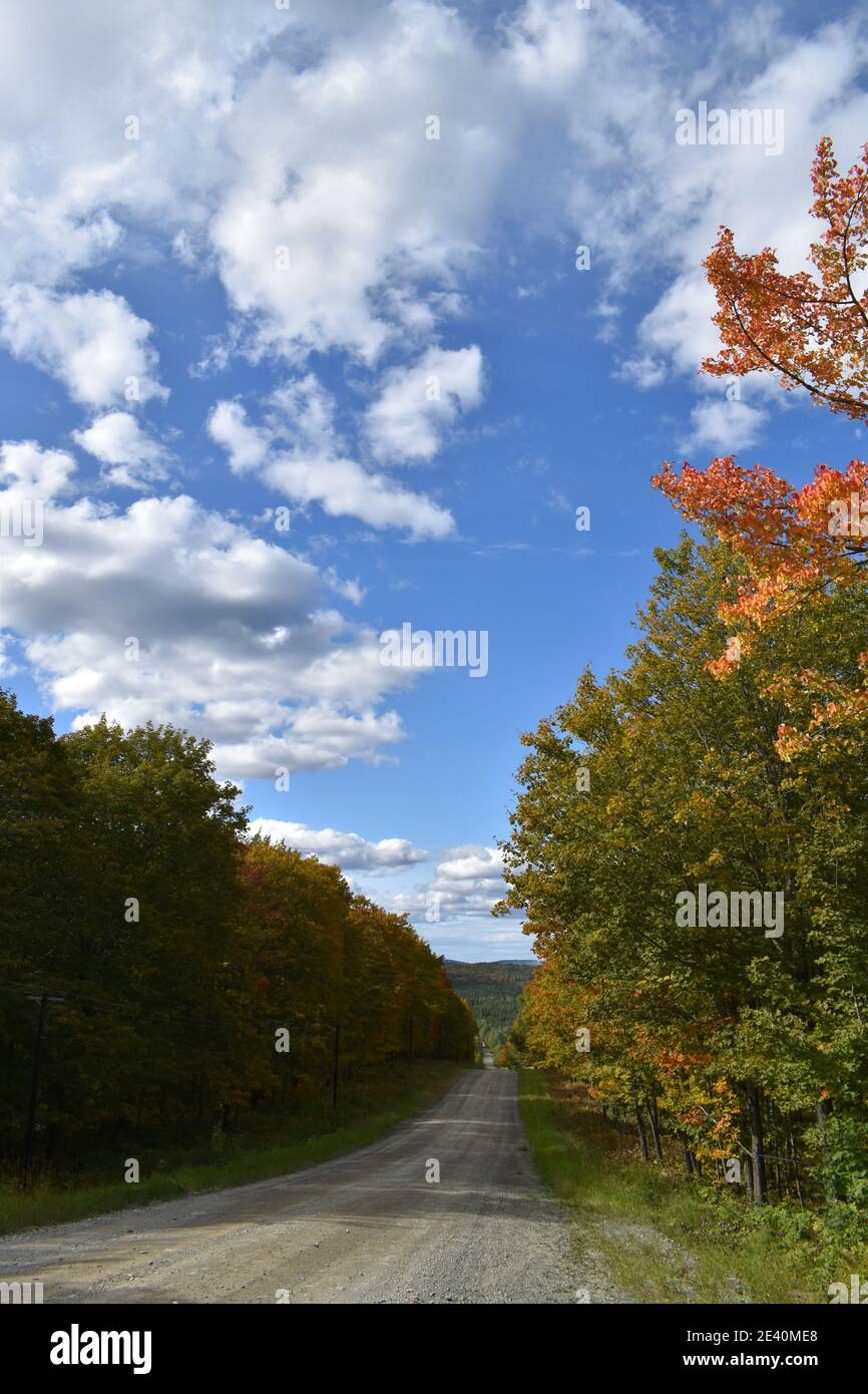 La route du lac carré en automne, SainteApolline, Québec Stock Photo