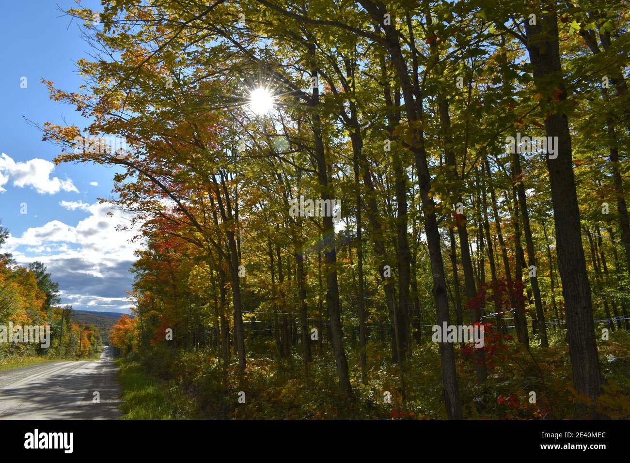 La route du lac carré en automne, SainteApolline, Québec Stock Photo