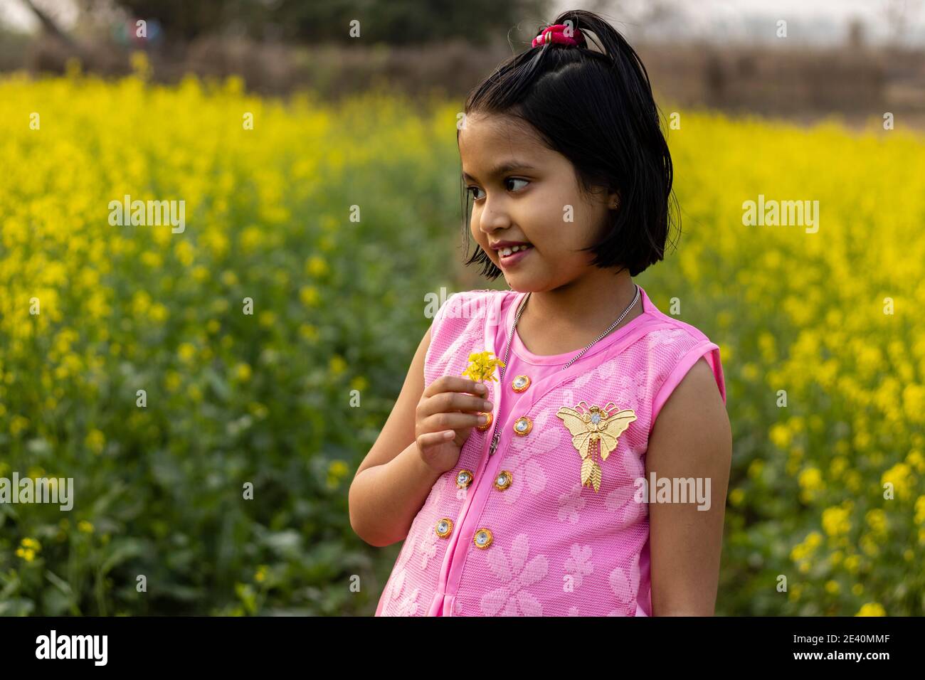 a pretty indian girl child in pink dress standing with a mustard flower in hand near yellow mustard flower field Stock Photo