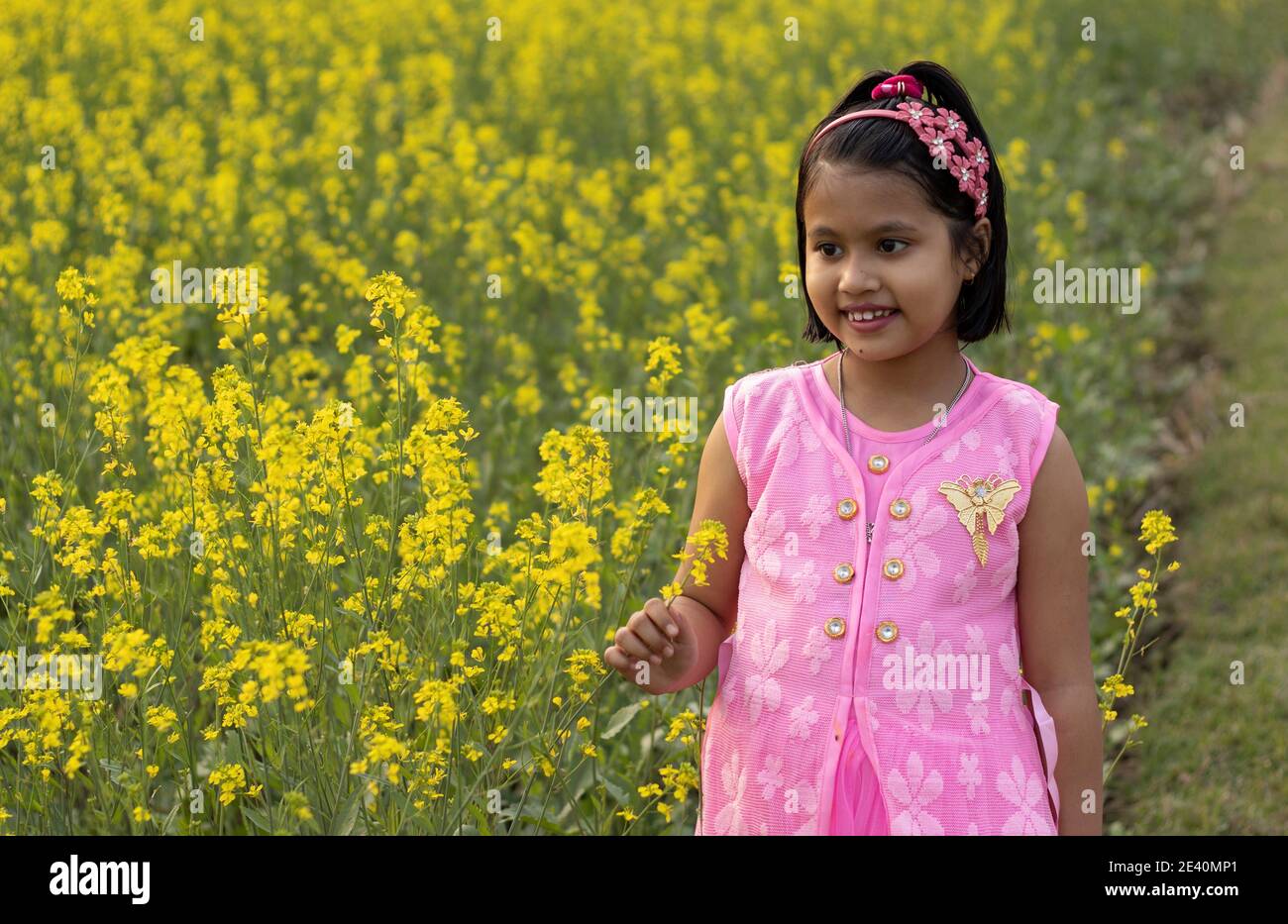 a pretty indian girl child in pink dress standing near yellow mustard flower field Stock Photo