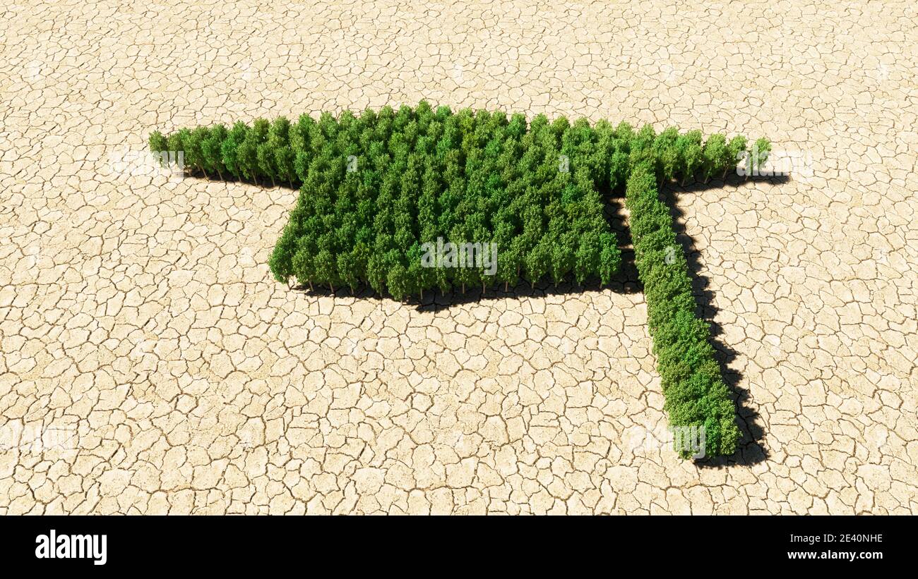 Tree Grad Cap Concept or conceptual group of green forest tree on dry ground ...