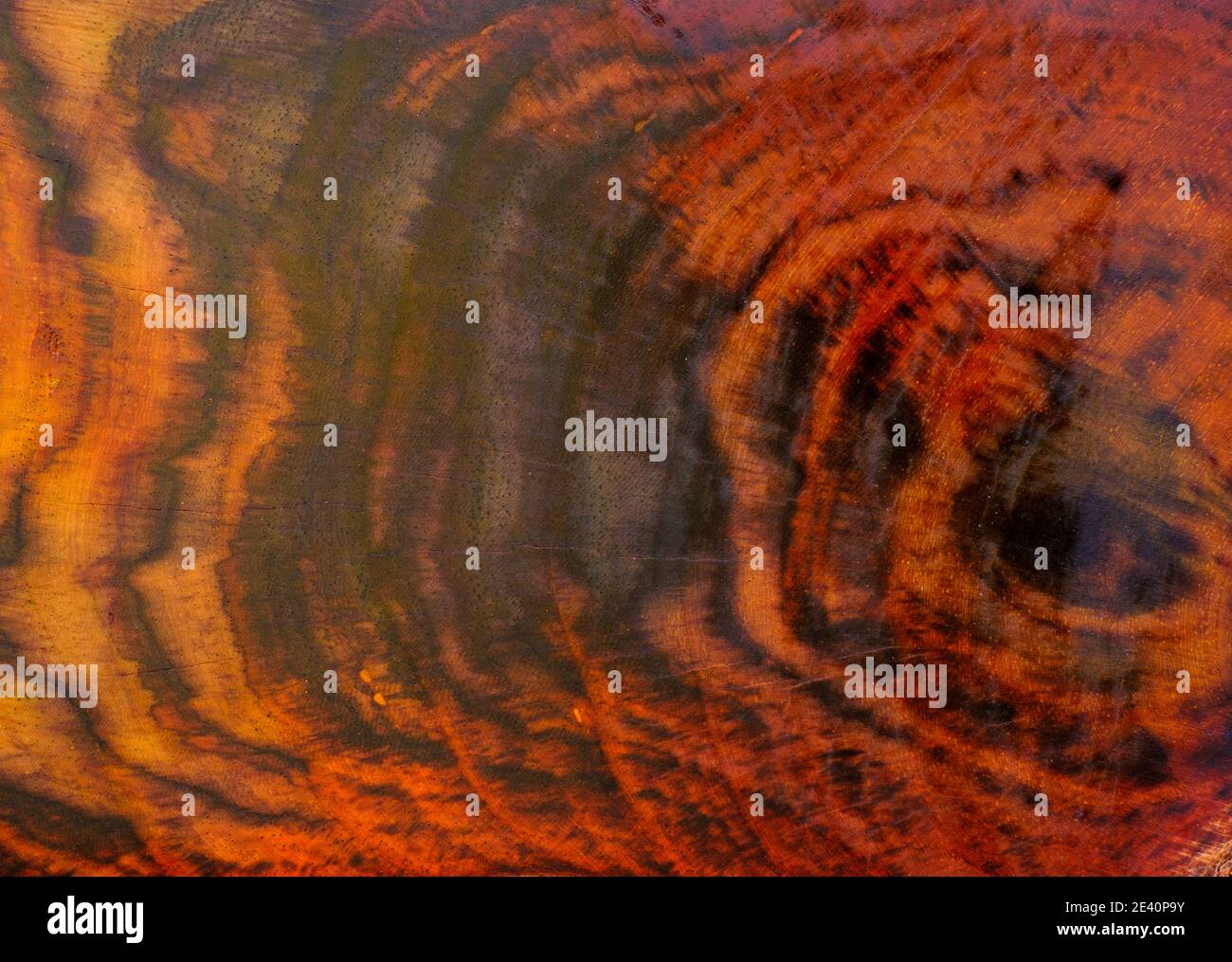 Rosewood tree rings texture background surface with natural pattern Stock Photo