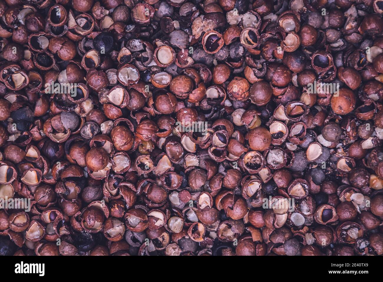 Macadamia nut husks used as ground cover. Macadamia nut shells
