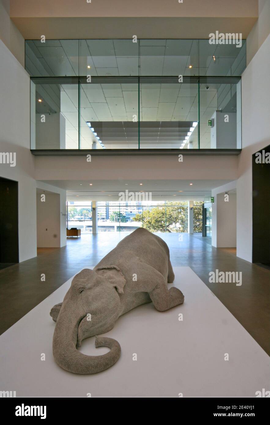 Gallery of Modern Art Brisbane, museum, museum, museo, museo, kunstmuseum, art museum, museo d'arte, museo de arte, Australien, Australia, Queensland Stock Photo
