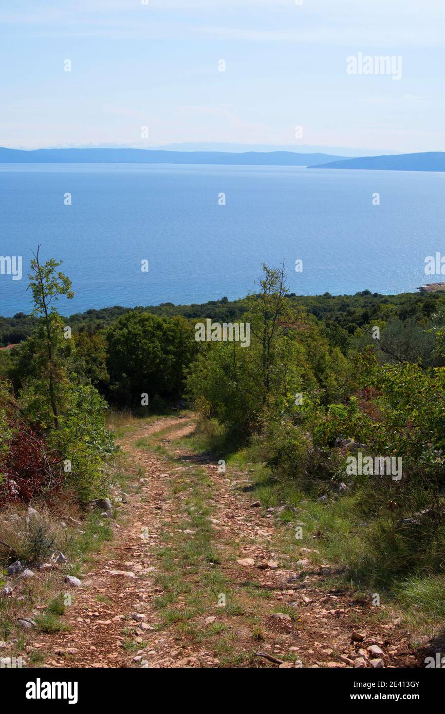 Vertical shot pathway beach hi-res stock photography and images - Alamy