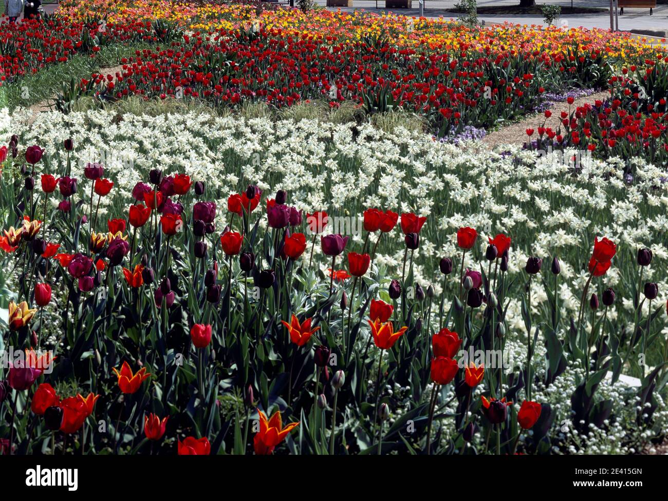 Blumenterrassen am Eingang Mitte Stock Photo