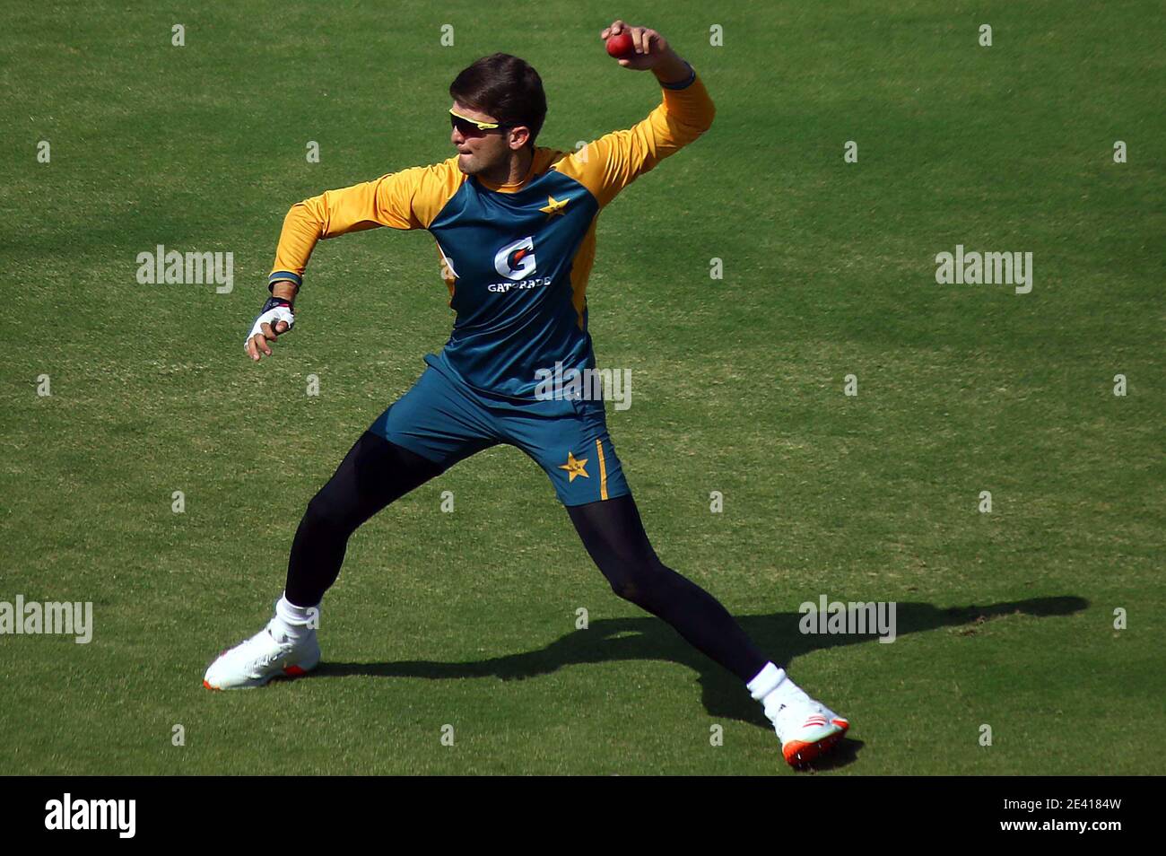 South Africa National Cricket Team Players - 1 - We did not find results for: