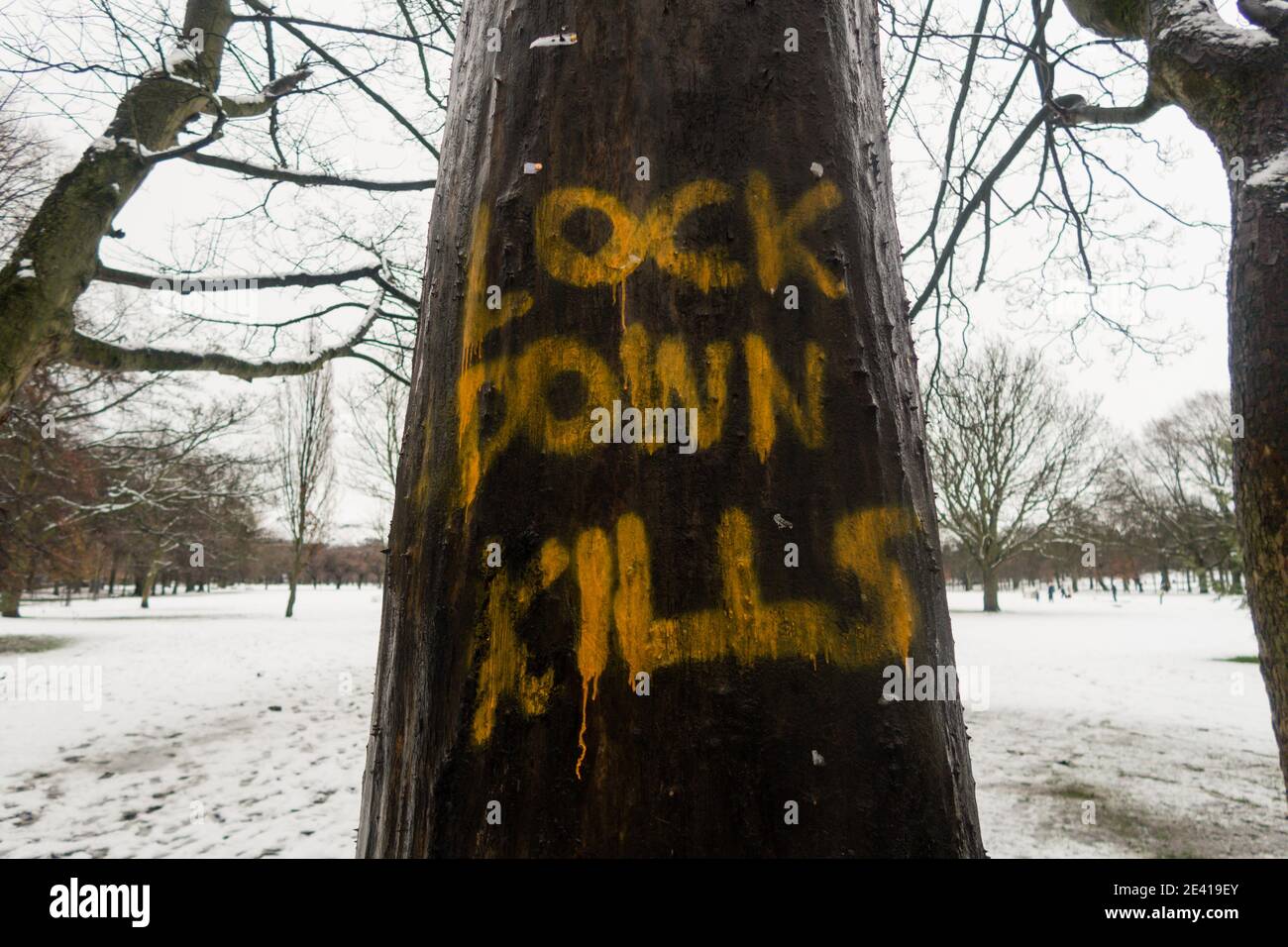 A tree spray painted with the words 'lock down kills' is seen in Edinburgh city center, Scotland, UK Stock Photo