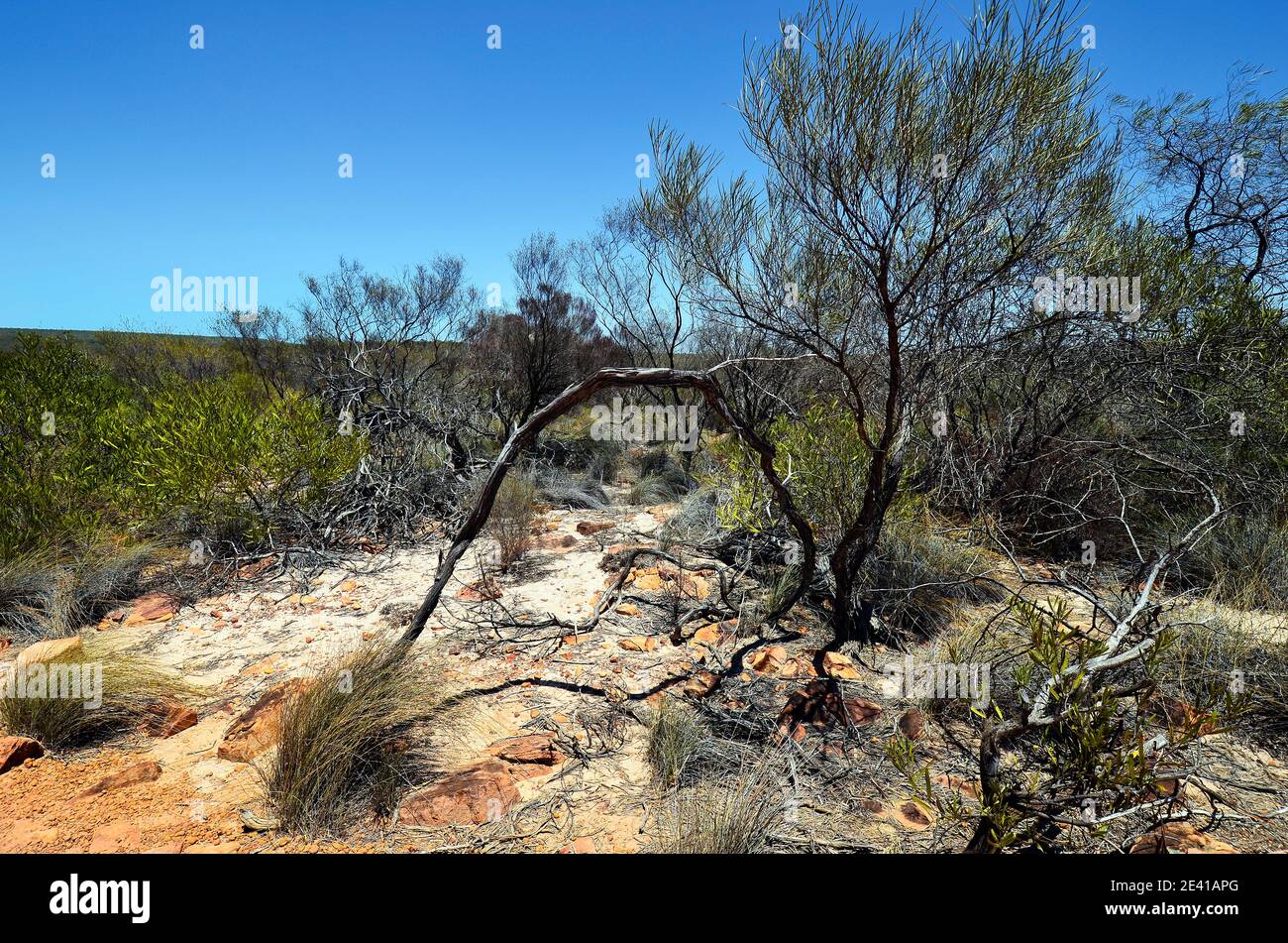 Australia, Kalbarri National Park Stock Photo Alamy