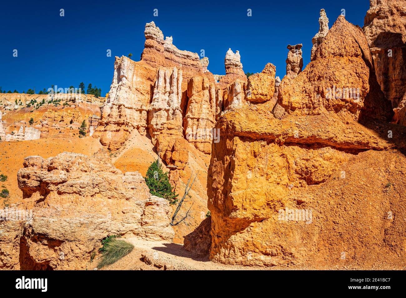 Hoodoo and eroded cliff formations at Bryce Canyon National Park in Utah. Stock Photo